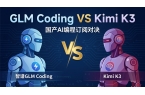 GLM Coding（GLM 5.3）与